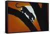 Leopard in Tree-DLILLC-Framed Stretched Canvas