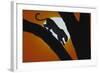 Leopard in Tree-DLILLC-Framed Photographic Print