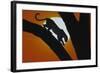 Leopard in Tree-DLILLC-Framed Photographic Print