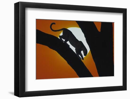 Leopard in Tree-DLILLC-Framed Photographic Print