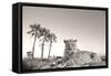 Leopard Male Rests on Termite Mound-null-Framed Stretched Canvas