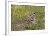 Leopard, Okavango Delta, Botswana, Africa-Angelo Cavalli-Framed Photographic Print