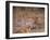 Leopard, Okavango Delta, Botswana-Pete Oxford-Framed Premium Photographic Print