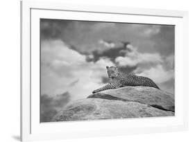 Leopard on a Kopje-Mario Moreno-Framed Photographic Print