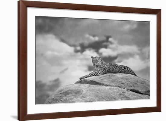 Leopard on a Kopje-Mario Moreno-Framed Photographic Print