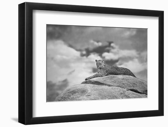 Leopard on a Kopje-Mario Moreno-Framed Photographic Print