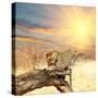 Leopard on Tree at Dawn-Andrushko Galyna-Stretched Canvas