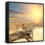 Leopard on Tree at Dawn-Andrushko Galyna-Framed Stretched Canvas