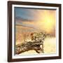 Leopard on Tree at Dawn-Andrushko Galyna-Framed Photographic Print