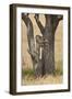 Leopard (Panthera Pardus) Carrying a Days-Old Blue Wildebeest (Brindled Gnu)Calf Up a Tree-James Hager-Framed Photographic Print