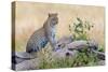 Leopard (Panthera Pardus) Climbing on Tree, Serengeti National Park, Tanzania-null-Stretched Canvas