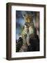 Leopard (Panthera Pardus) Cub Looking Up at Birds (Out of Frame) with Mother in Background-Wim van den Heever-Framed Photographic Print