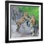 Leopard (Panthera Pardus) Family, Serengeti National Park, Tanzania-null-Framed Photographic Print