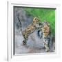 Leopard (Panthera Pardus) Family, Serengeti National Park, Tanzania-null-Framed Photographic Print