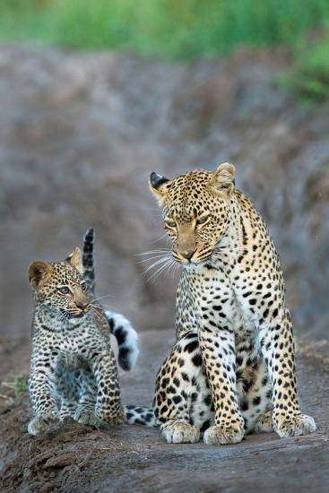 Premium Photographic Print, , large