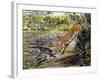 Leopard (Panthera Pardus), Felidae, Assaulting Black Caiman (Melanosuchus Niger), Alligatoridae-null-Framed Giclee Print