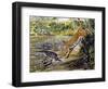 Leopard (Panthera Pardus), Felidae, Assaulting Black Caiman (Melanosuchus Niger), Alligatoridae-null-Framed Giclee Print