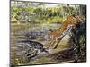 Leopard (Panthera Pardus), Felidae, Assaulting Black Caiman (Melanosuchus Niger), Alligatoridae-null-Mounted Giclee Print