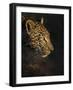 Leopard (Panthera Pardus) Female Head Profile In Early Morning Sunlight-Wim van den Heever-Framed Photographic Print