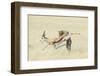 Leopard (Panthera Pardus) Hunting Springbok (Antidorcas Marsupialis) Etosha-Wim van den Heever-Framed Photographic Print