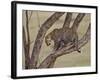 Leopard (Panthera Pardus) in a Tree, Masai Mara National Reserve, Kenya, East Africa, Africa-James Hager-Framed Photographic Print