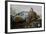 Leopard (Panthera Pardus) Lying on a Tree, Ndutu, Ngorongoro Conservation Area, Tanzania-null-Framed Photographic Print