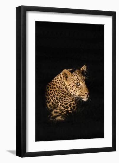 Leopard (Panthera Pardus), Madikwe Game Reserve, South Africa, Africa-Ann and Steve Toon-Framed Photographic Print