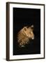 Leopard (Panthera Pardus), Madikwe Game Reserve, South Africa, Africa-Ann and Steve Toon-Framed Photographic Print