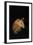 Leopard (Panthera Pardus), Madikwe Game Reserve, South Africa, Africa-Ann and Steve Toon-Framed Photographic Print