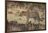 Leopard, Panthera pardus, Masai Mara, Kenya.-Sergio Pitamitz-Framed Photographic Print