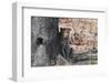 Leopard (Panthera Pardus), Okavango Delta, Botswana, Africa-Sergio Pitamitz-Framed Photographic Print