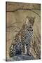 Leopard (Panthera pardus), Ruaha National Park, Tanzania, East Africa, Africa-James Hager-Stretched Canvas