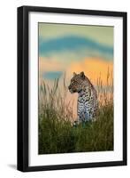 Leopard (Panthera Pardus), Serengeti National Park, Tanzania-null-Framed Photographic Print