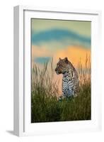 Leopard (Panthera Pardus), Serengeti National Park, Tanzania-null-Framed Photographic Print