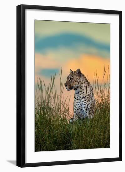 Leopard (Panthera Pardus), Serengeti National Park, Tanzania-null-Framed Photographic Print