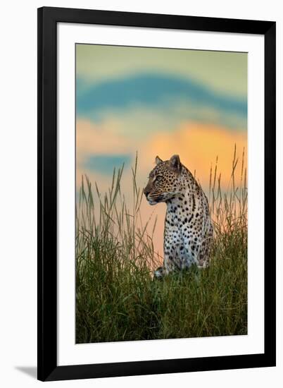 Leopard (Panthera Pardus), Serengeti National Park, Tanzania-null-Framed Photographic Print