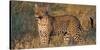 Leopard (Panthera Pardus) Standing in a Forest, Serengeti National Park, Tanzania-null-Stretched Canvas