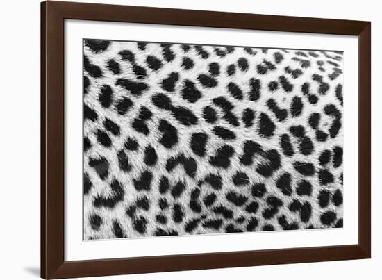 Leopard Patterns-null-Framed Giclee Print