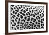 Leopard Patterns-null-Framed Giclee Print