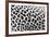 Leopard Patterns-null-Framed Giclee Print