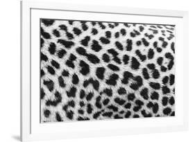 Leopard Patterns-null-Framed Giclee Print