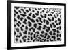 Leopard Patterns-null-Framed Giclee Print