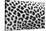 Leopard Patterns-null-Stretched Canvas