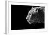 Leopard Portrait-Reddogs-Framed Premium Giclee Print