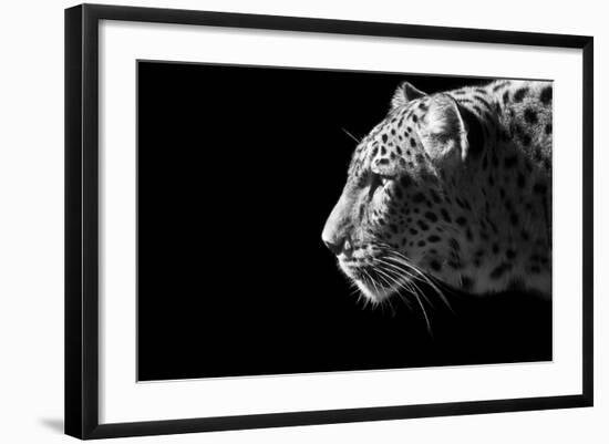 Leopard Portrait-Reddogs-Framed Premium Giclee Print