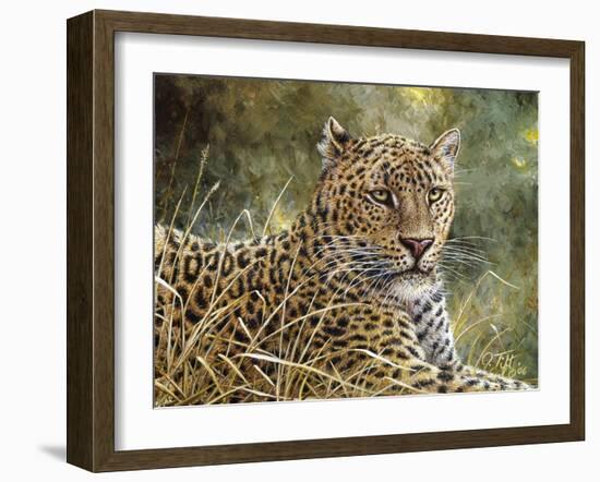 Leopard Portrait-Jeff Tift-Framed Giclee Print