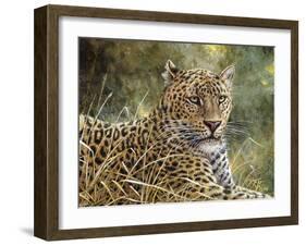 Leopard Portrait-Jeff Tift-Framed Giclee Print