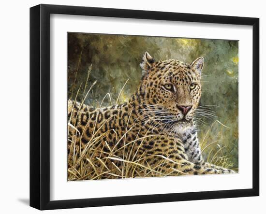 Leopard Portrait-Jeff Tift-Framed Giclee Print