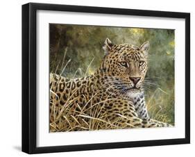 Leopard Portrait-Jeff Tift-Framed Giclee Print