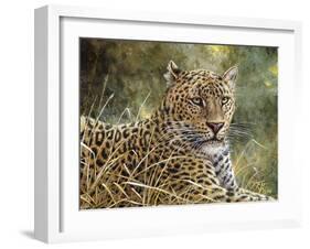 Leopard Portrait-Jeff Tift-Framed Giclee Print